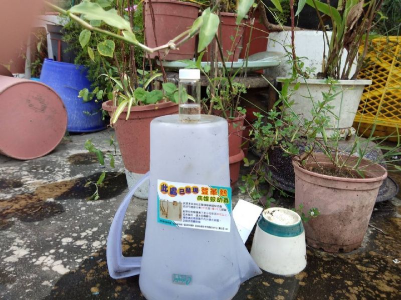 清除不必要的積水容器，以避免積水孳生病媒蚊孑孓
